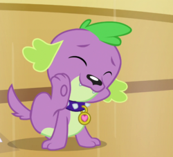 Size: 677x615 | Tagged: safe, screencap, spike, spike the regular dog, dog, equestria girls, equestria girls specials, g4, my little pony equestria girls: dance magic, cropped, cute, eyes closed, male, paw pads, paws, puppy, smiling, solo, spikabetes, tail, underpaw