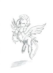Size: 1700x2338 | Tagged: safe, artist:joey012, silverstream, classical hippogriff, hippogriff, g4, female, grayscale, monochrome, pencil drawing, solo, traditional art