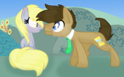 Size: 1024x634 | Tagged: safe, artist:nataliawolf2004, derpy hooves, doctor whooves, time turner, g4, deviantart watermark, female, male, obtrusive watermark, ship:doctorderpy, shipping, straight, watermark
