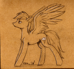 Size: 1407x1310 | Tagged: safe, artist:kirasunnight, rainbow dash, pegasus, pony, g4, female, monochrome, sketch, solo, traditional art