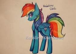 Size: 3326x2340 | Tagged: safe, artist:oceanblueskyfire, rainbow dash, pegasus, pony, g4, female, high res, obtrusive watermark, smiling, solo, traditional art, watermark