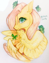 Size: 1602x2064 | Tagged: safe, artist:ectopi, fluttershy, butterfly, pegasus, pony, g4, bust, colored pencil drawing, female, hiding behind wing, mare, portrait, profile, simple background, solo, stray strand, traditional art, white background, wings