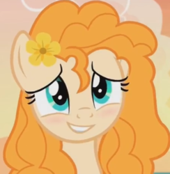 Size: 372x381 | Tagged: safe, screencap, pear butter, earth pony, pony, g4, the perfect pear, blushing, cropped, cute, female, mare, pearabetes, profile picture, smiling, solo
