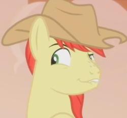Size: 386x358 | Tagged: safe, screencap, bright mac, earth pony, pony, g4, the perfect pear, bust, cropped, lip bite, male, portrait, profile picture, solo