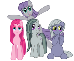 Size: 7800x6420 | Tagged: safe, alternate version, artist:fascismnotincluded, limestone pie, marble pie, maud pie, pinkie pie, earth pony, pony, g4, absurd resolution, blushing, frog (hoof), personality swap, pinkamena diane pie, simple background, transparent background, underhoof, vector