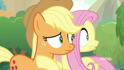 Size: 1920x1080 | Tagged: safe, screencap, applejack, fluttershy, earth pony, pegasus, pony, sounds of silence, discovery family logo, duo, female, lip bite, mare, scared