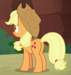 Size: 416x435 | Tagged: safe, screencap, applejack, earth pony, pony, g4, sounds of silence, butt, cropped, female, freckles, mare, plot, solo