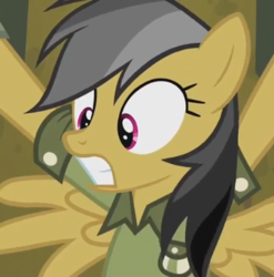 Size: 392x397 | Tagged: safe, screencap, daring do, daring don't, g4, my little pony: friendship is magic, season 4, close-up, cropped, female, mare, worried