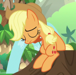 Size: 416x411 | Tagged: safe, screencap, applejack, earth pony, pony, g4, sounds of silence, cropped, eyes closed, female, fountain, freckles, mare, sitting, solo, tree stump, water
