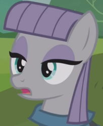 Size: 314x384 | Tagged: safe, screencap, maud pie, earth pony, pony, g4, no second prances, close-up, cropped, female, mare