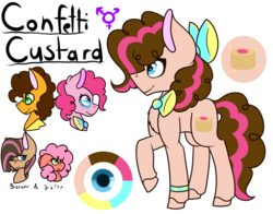 Size: 1400x1100 | Tagged: safe, artist:king-justin, cheese sandwich, pinkie pie, oc, oc:confetti custard, g4, bow, bowtie, female, hair bow, male, next generation, offspring, parent:cheese sandwich, parent:pinkie pie, parents:cheesepie, reference sheet, ship:cheesepie, shipping, simple background, stallion, straight, trans male, transgender, transparent background