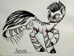 Size: 1280x960 | Tagged: safe, artist:adagiostring, oc, oc only, oc:xenith, pony, zebra, fallout equestria, fanfic, fanfic art, female, hooves, kicking, mare, markers, simple background, sketch, solo, text, traditional art, white background