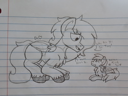 Size: 2576x1932 | Tagged: safe, artist:drheartdoodles, oc, oc only, oc:dr.heart, oc:isis, clydesdale, pony, crouching, curled up, cute, duo, lineart, lined paper, macro, micro, nervous, pencil drawing, size difference, traditional art, wavy mouth
