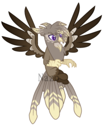 Size: 1296x1560 | Tagged: safe, artist:vintage-owll, oc, oc only, oc:hawk, classical hippogriff, hippogriff, hybrid, base used, interspecies offspring, male, obtrusive watermark, offspring, parent:dumbbell, parent:gilda, parents:gildabell, simple background, spread wings, transparent background, watermark, wings