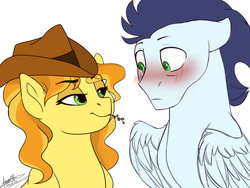 Size: 1024x768 | Tagged: dead source, safe, artist:scorpion-89, braeburn, soarin', pegasus, pony, g4, bailey sweet, bedroom eyes, blushing, cowboy hat, female, half r63 shipping, hat, looking at each other, male, mare, rule 63, ship:soarburn, ship:soariley, shipping, simple background, smiling, stallion, straight, straw in mouth, white background