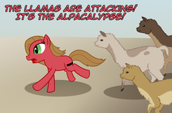 Size: 1218x800 | Tagged: safe, artist:envyxkitty, oc, oc:pun, alpaca, earth pony, llama, pony, ask pun, ask, female, mare, running, stampede