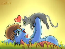 Size: 3000x2250 | Tagged: safe, artist:zobaloba, oc, oc only, oc:bizarre song, cat, pegasus, pony, commission, friendship, grass, high res, kitten, pet, sketch, solo, ych result