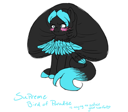 Size: 1050x920 | Tagged: safe, oc, oc only, bird pone, pony, bird of paradise, blush sticker, blushing, solo, text