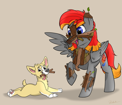 Size: 1024x890 | Tagged: safe, artist:rutkotka, oc, oc only, oc:arian blaze, corgi, pegasus, pony, timber wolf, clothes, costume, nightmare night, puppy, smiling, stick, tongue out