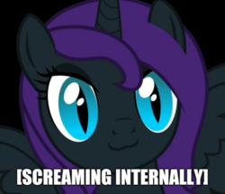 Size: 1253x1080 | Tagged: artist needed, safe, editor:apex soundwave, oc, oc only, oc:nyx, alicorn, pony, :3, alicorn oc, black background, bust, cat eyes, cute, female, image macro, implied screaming, internal screaming, mare, reaction image, simple background, slit pupils, solo, text