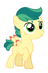 Size: 1000x1500 | Tagged: safe, artist:charlie03bigote, oc, oc only, unnamed oc, pegasus, pony, adoptable, colt, male, simple background, solo, transparent background