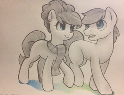 Size: 2649x2035 | Tagged: safe, artist:violettacamak, oc, oc only, oc:bing, oc:breezy, earth pony, pony, clothes, female, high res, male, mare, monochrome, partial color, scarf, smiling, stallion, traditional art