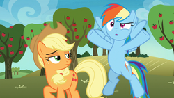 Size: 1920x1080 | Tagged: safe, screencap, applejack, rainbow dash, earth pony, pegasus, pony, g4, grannies gone wild, apple tree, duo, hooves in air, lidded eyes, raised hoof, tree