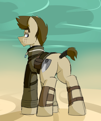 Size: 2500x3000 | Tagged: safe, artist:coatieyay, oc, oc only, oc:paladin, pony, butt, ear piercing, earring, high res, jewelry, leather armor, mad max, male, piercing, plot, tail wrap