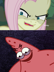 Size: 918x1232 | Tagged: safe, mean fluttershy, g4, the mean 6, clone, comparison, creepy, evil smile, faic, grin, male, nature pants, patrick star, savage, savage patrick, smiling, spongebob squarepants