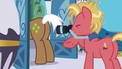 Size: 800x450 | Tagged: safe, edit, edited screencap, screencap, mochaccino, rare find, tropic heat, earth pony, pony, g4, background pony, butt, camera, eyes closed, eyes on the prize, looking at butt, male, plot, raised hoof, stallion