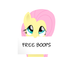 Size: 2500x2000 | Tagged: safe, artist:sugarstraw, derpibooru exclusive, fluttershy, pegasus, pony, g4, boop, bronybait, bust, cute, daaaaaaaaaaaw, female, high res, holding, lineless, looking at you, mare, mouth hold, shyabetes, sign, simple background, smiling, solo, text, transparent background
