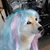 Size: 750x748 | Tagged: safe, princess celestia, dog, shiba inu, g4, barely pony related, doge, irl, looking at you, meme, photo, sunmutt, wat, whiskers, wig