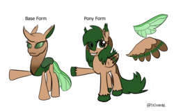 Size: 4124x2642 | Tagged: safe, artist:tkitten16, oc, oc only, oc:fluttering forest, changedling, changeling, changedling oc, changeling oc, ponysona, reference sheet, simple background, solo, transparent background