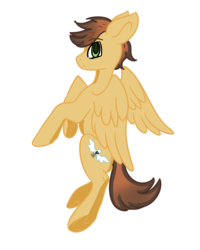 Size: 2400x3000 | Tagged: safe, artist:silverkitsune84, oc, oc only, oc:krafty kitsune, pegasus, pony, cute, cutie mark, high res, looking back, male, simple background, solo, transparent background, wings