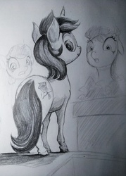 Size: 2859x4000 | Tagged: safe, artist:ponsce, daisy, flower wishes, lily, lily valley, roseluck, earth pony, pony, g4, butt, female, flower trio, mare, monochrome, plot, sketch, traditional art, trio, trio female, wip