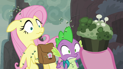 Size: 1280x720 | Tagged: safe, screencap, fluttershy, pinkie pie, spike, dragon, fly-der, pegasus, pony, g4, school raze, backpack, baked bads, cupcake, duo focus, female, food, hooves, male, mare, mold, mushroom, rotten, saddle bag, surprised, teeth, winged spike, wings