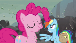 Size: 1280x720 | Tagged: safe, screencap, pinkie pie, rainbow dash, earth pony, fly, insect, pegasus, pony, g4, school raze, chewing, cutie mark, duo, eating, eyes closed, female, gritted teeth, mare, saddle bag, spread wings, teeth, wings