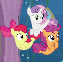 Size: 625x615 | Tagged: safe, screencap, apple bloom, scootaloo, sweetie belle, seapony (g4), g4, surf and/or turf, bubble, cropped, cutie mark crusaders, female, filly, fins, foal, sea-mcs, seaponified, seapony apple bloom, seapony scootaloo, seapony sweetie belle, seaquestria, smiling, species swap, tail, trio, underwater, water