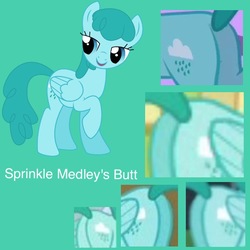 Size: 639x640 | Tagged: safe, edit, edited screencap, screencap, spring melody, sprinkle medley, pegasus, pony, g4, hurricane fluttershy, luna eclipsed, butt, compilation, cropped, female, mare, medley butt, plot