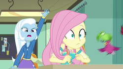 Size: 1280x720 | Tagged: safe, screencap, fluttershy, trixie, a little birdie told me, equestria girls, g4, my little pony equestria girls: better together, female, geode of fauna, magical geodes