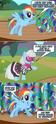 Size: 800x1770 | Tagged: safe, artist:nightmaremoons, photo finish, rainbow dash, pony, ask pun, g4, ask, curtains, show accurate