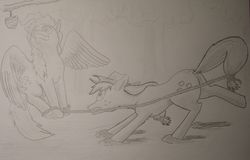 Size: 2544x1632 | Tagged: safe, artist:shayzorr, derpibooru exclusive, applejack, surprise, earth pony, pegasus, pony, g4, 35th anniversary, apple, bondage, duo, female, food, hogtied, lasso, mare, monochrome, mouth hold, pencil drawing, rope, traditional art, zap apple