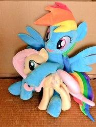 Size: 768x1024 | Tagged: safe, artist:nekokevin, fluttershy, rainbow dash, pegasus, pony, g4, cute, duo, female, holding, hug, irl, lying down, mare, open mouth, photo, plushie, size difference, smiling, spread wings, underhoof, wings