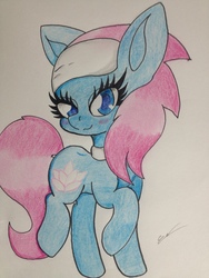 Size: 2448x3264 | Tagged: safe, artist:luxiwind, lotus blossom, earth pony, pony, g4, blushing, high res, looking at you, raised hoof, simple background, traditional art, white background