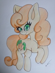 Size: 2448x3264 | Tagged: safe, artist:luxiwind, carrot top, golden harvest, pony, g4, high res, simple background, traditional art, white background
