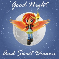 Size: 937x931 | Tagged: safe, artist:whatthehell!?, sunset shimmer, equestria girls, g4, boots, clothes, doll, dress, equestria girls minis, eqventures of the minis, fiery shimmer, good night, irl, jacket, moon, night, night sky, pants, photo, shoes, sky, stars, torch, toy, wings