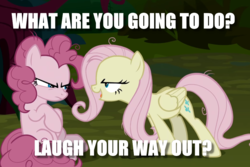 Size: 1019x681 | Tagged: safe, edit, edited screencap, screencap, mean fluttershy, mean pinkie pie, g4, the mean 6, clone, duo, image macro, meme, text
