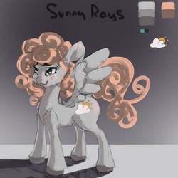 Size: 1280x1280 | Tagged: safe, artist:twilightsquare, oc, oc only, oc:sunny rays, pegasus, pony, design, female, solo