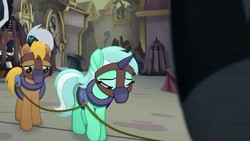 Size: 613x345 | Tagged: safe, screencap, lyra heartstrings, songbird serenade, earth pony, pony, unicorn, g4, my little pony: the movie, bound together, cage, collar, cropped, female, harness, horn, horn cap, magic suppression, male, mare, muzzle, sad, slavery, stallion, tack