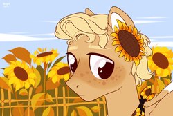 Size: 1452x973 | Tagged: safe, artist:lothard juliet, oc, oc only, earth pony, pony, bust, fence, flower, flower in hair, male, neckerchief, portrait, solo, stallion, sunflower